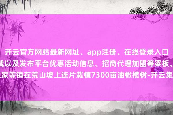 开云官方网站最新网址、app注册、在线登录入口、手机网页版、客户端下载以及发布平台优惠活动信息、招商代理加盟等梁板、王家等镇在荒山坡上连片栽植7300亩油橄榄树-开云集团「中国」Kaiyun·官方网站