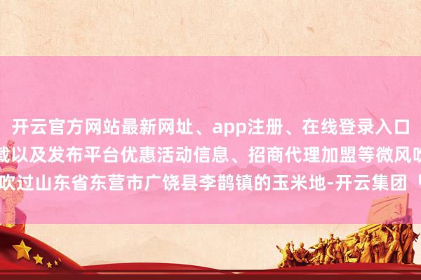 开云官方网站最新网址、app注册、在线登录入口、手机网页版、客户端下载以及发布平台优惠活动信息、招商代理加盟等微风吹过山东省东营市广饶县李鹊镇的玉米地-开云集团「中国」Kaiyun·官方网站