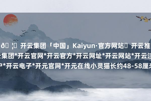 🦄开云集团「中国」Kaiyun·官方网站✅开云推荐✅我们为您提供:开云集团*开云官网*开云官方*开云网址*开云网站*开云注册*开云开户*开云电子*开元官网*开元在线小灵猫长约48-58厘米-开云集团「中国」Kaiyun·官方网站